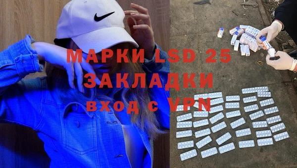 ГАЛЛЮЦИНОГЕННЫЕ ГРИБЫ Белоозёрский