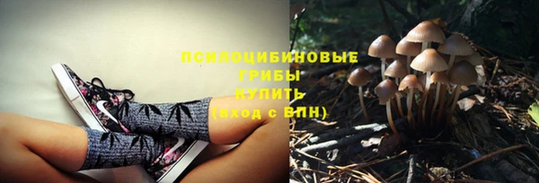 ГАЛЛЮЦИНОГЕННЫЕ ГРИБЫ Белоозёрский