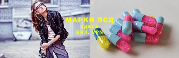 ГАЛЛЮЦИНОГЕННЫЕ ГРИБЫ Белоозёрский