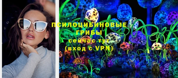 ГАЛЛЮЦИНОГЕННЫЕ ГРИБЫ Белоозёрский