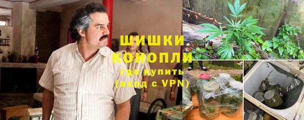 дурь Белокуриха