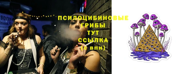 Альфа ПВП Беломорск