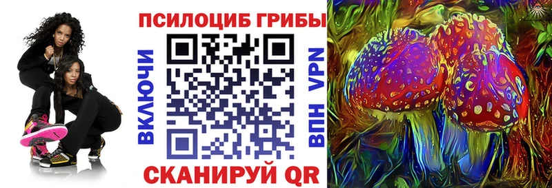 Псилоцибиновые грибы ЛСД  Купить  Протвино 
